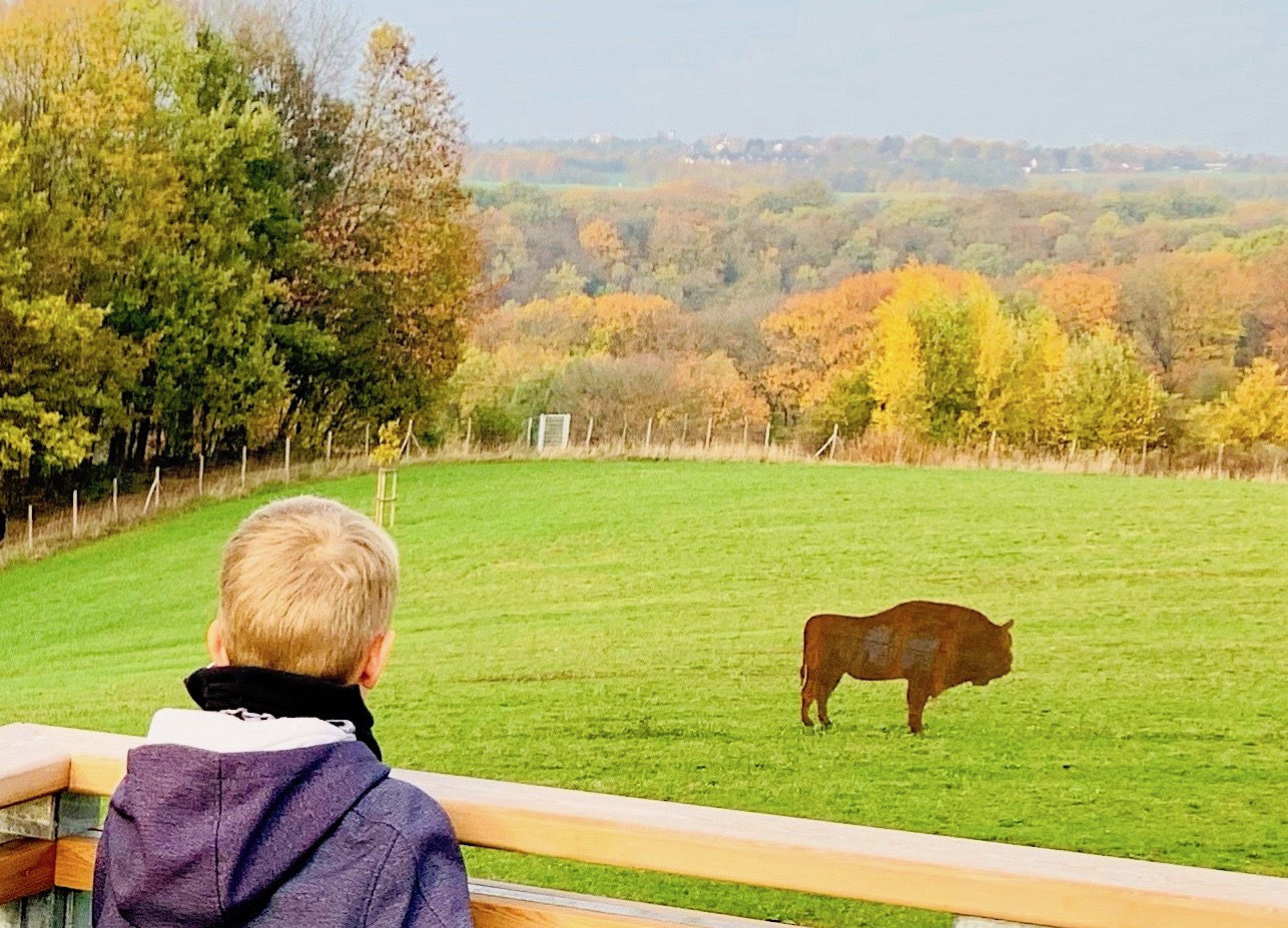 tongrube-erkrath-ferienwohnung-duesseldorf-zimmervermietung-00002