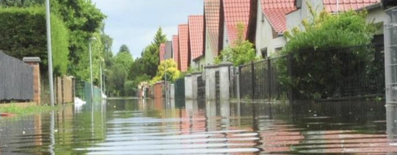 Wasserschaden in der eigenen Wohnung: Was tun, wenn Feuchtigkeit und Schimmel Einzug halten?